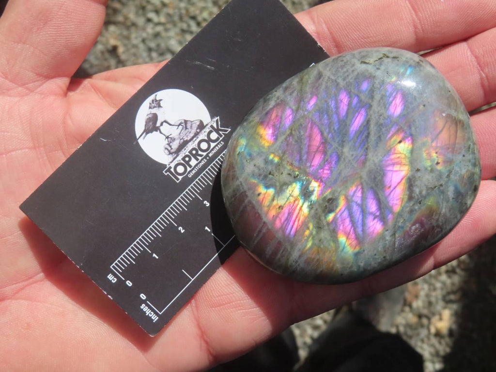 Polished Purple Sunset Labradorite Palm Stone x 1 From Tulear, Madagascar