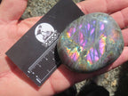 Polished Purple Sunset Labradorite Palm Stone x 1 From Tulear, Madagascar