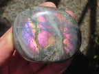 Polished Purple Sunset Labradorite Palm Stone x 1 From Tulear, Madagascar