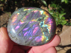 Polished Purple Sunset Labradorite Palm Stone x 1 From Tulear, Madagascar