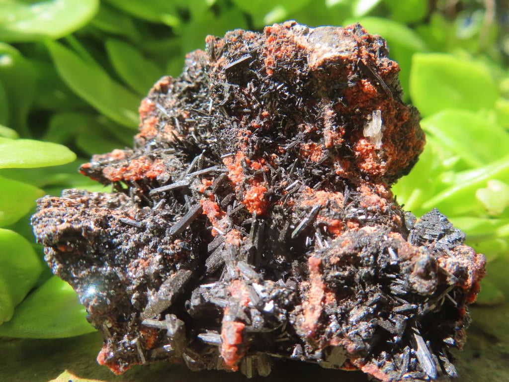 Natural Rare Gaudefroyite and Hausmannite Specimen with Andradite Garnet x 1 From N'Chwaning Mine, Northern Cape, South Africa