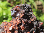 Natural Rare Gaudefroyite and Hausmannite Specimen with Andradite Garnet x 1 From N'Chwaning Mine, Northern Cape, South Africa