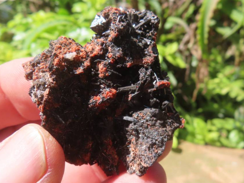 Natural Rare Gaudefroyite and Hausmannite Specimen with Andradite Garnet x 1 From N'Chwaning Mine, Northern Cape, South Africa