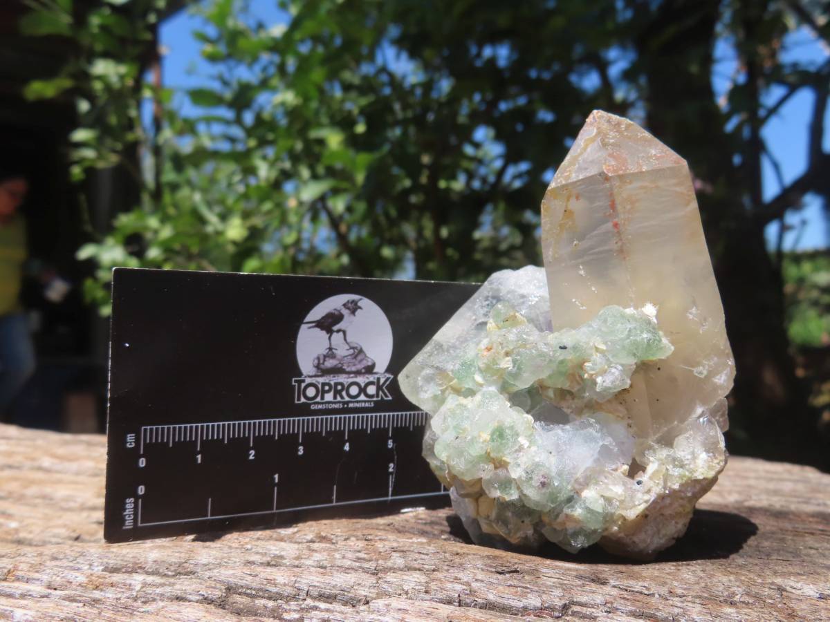 Natural Exquisite Blue Topaz with Fluorescent Fluorite and Associated Minerals x 1 From Erongo, Namibia