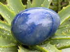 Polished Large Blue Marble Eggs - Sold Per Piece - From China