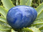 Polished Large Blue Marble Eggs - Sold Per Piece - From China