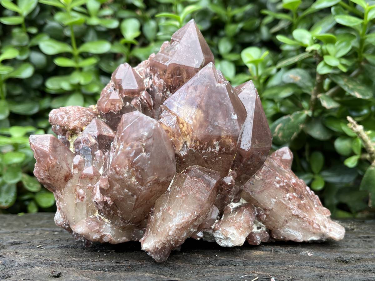 Natural Large Red Hematoid Quartz Crystal Cluster x 1 From Karoi, Zimbabwe