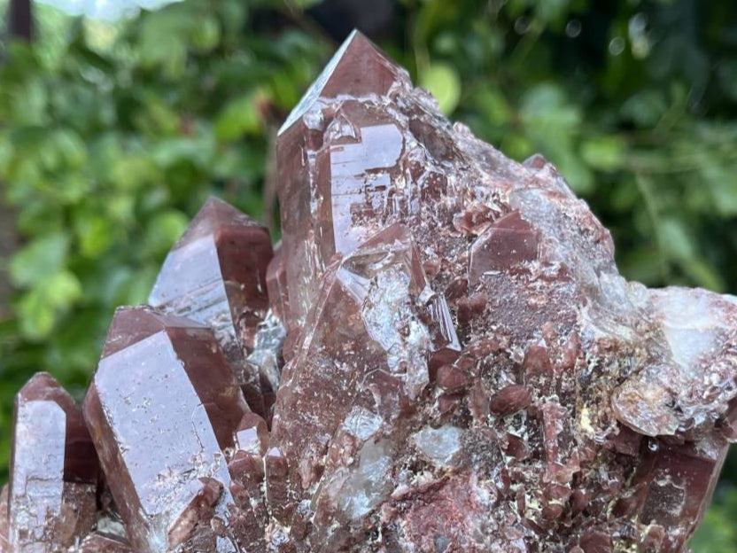 Natural Large Red Hematoid Quartz Crystal Cluster x 1 From Karoi, Zimbabwe