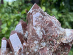 Natural Large Red Hematoid Quartz Crystal Cluster x 1 From Karoi, Zimbabwe