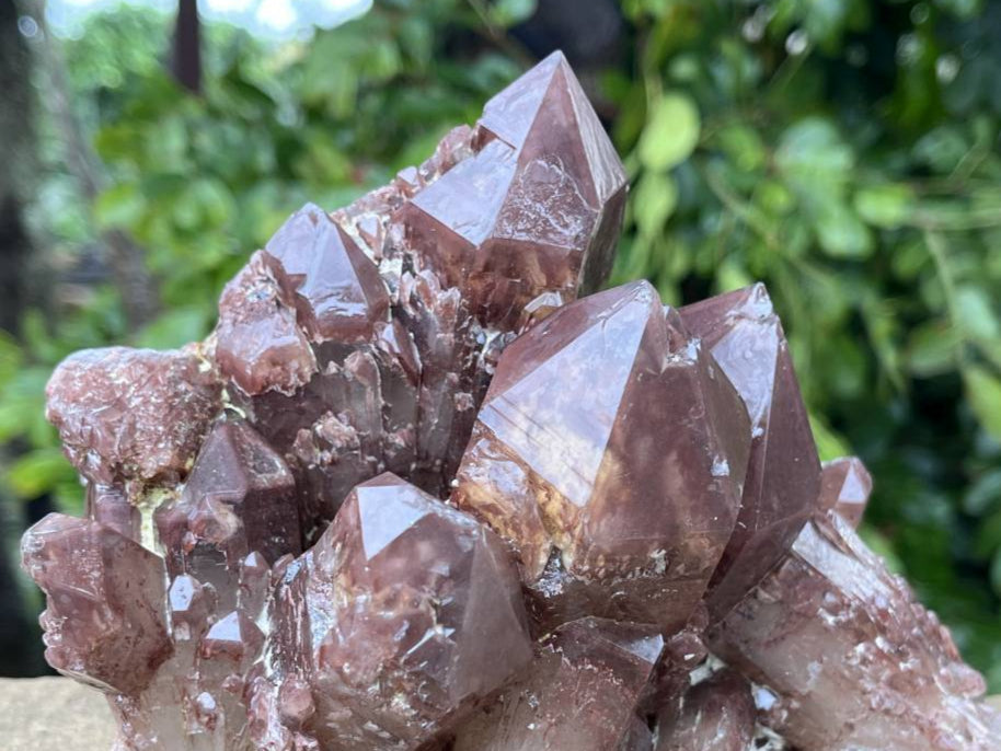 Natural Large Red Hematoid Quartz Crystal Cluster x 1 From Karoi, Zimbabwe