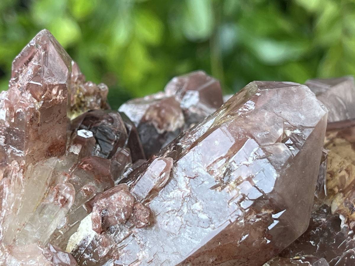 Natural Large Red Hematoid Quartz Crystal Cluster x 1 From Karoi, Zimbabwe