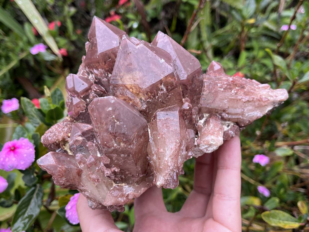 Natural Large Red Hematoid Quartz Crystal Cluster x 1 From Karoi, Zimbabwe