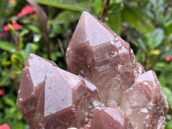 Natural Large Red Hematoid Quartz Crystal Cluster x 1 From Karoi, Zimbabwe