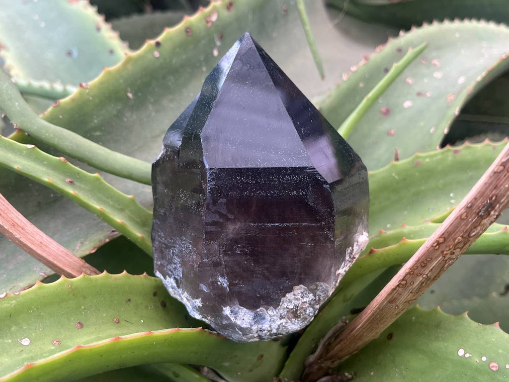 Natural Marion Smokey Quartz Crystal x 1 From Mulanje, Malawi