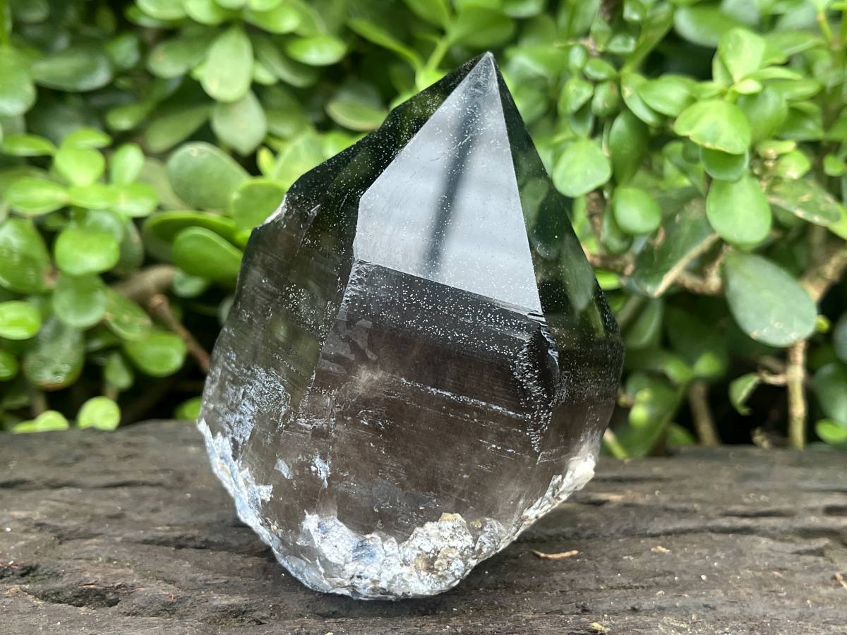 Natural Marion Smokey Quartz Crystal x 1 From Mulanje, Malawi