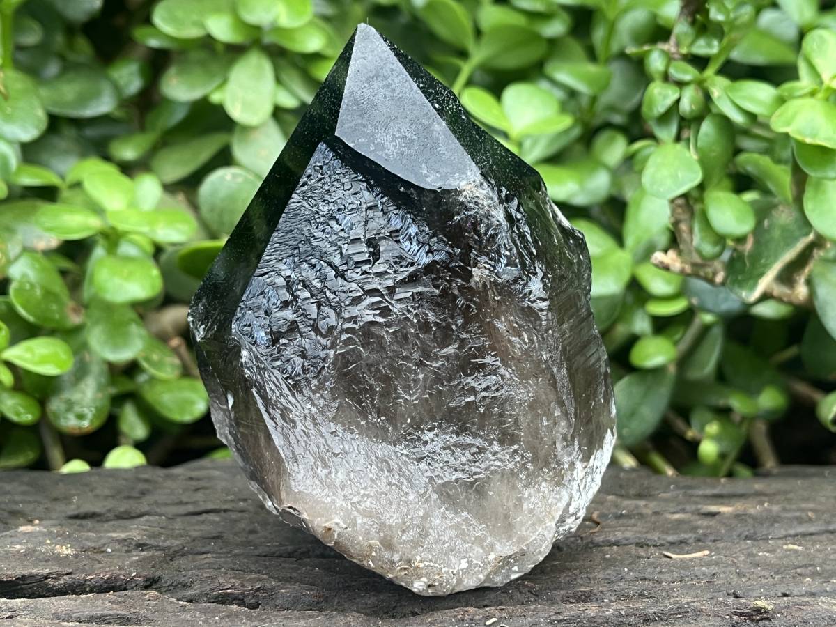 Natural Marion Smokey Quartz Crystal x 1 From Mulanje, Malawi