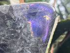 Polished Rare Purple Labradorite Standing Free Form x 1 From Tulear, Madagascar