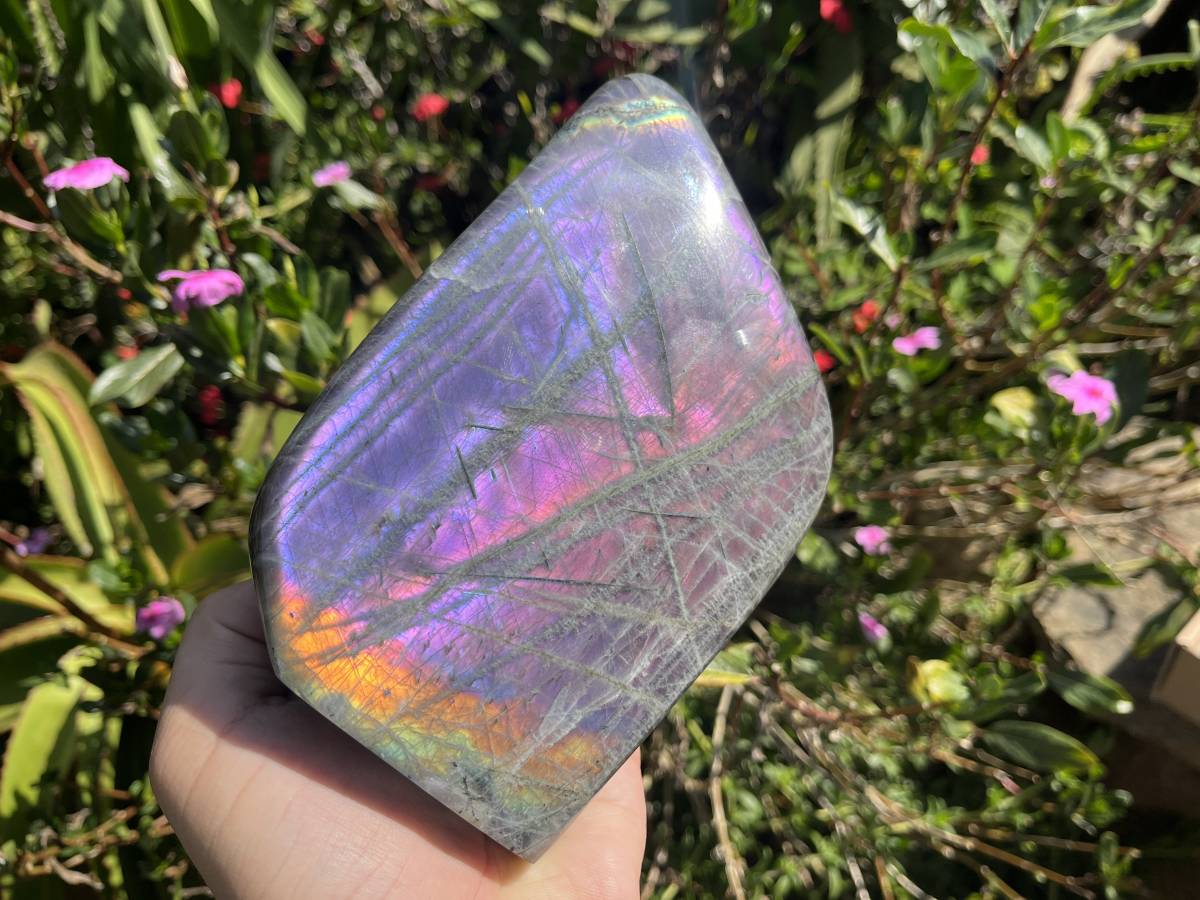 Polished Rare Purple Labradorite Standing Free Form x 1 From Tulear, Madagascar