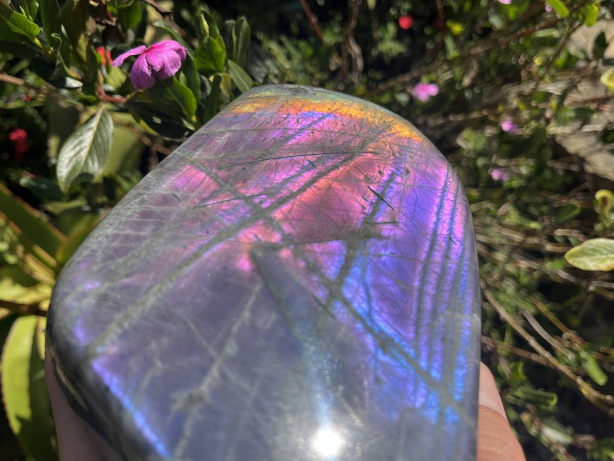 Polished Rare Purple Labradorite Standing Free Form x 1 From Tulear, Madagascar