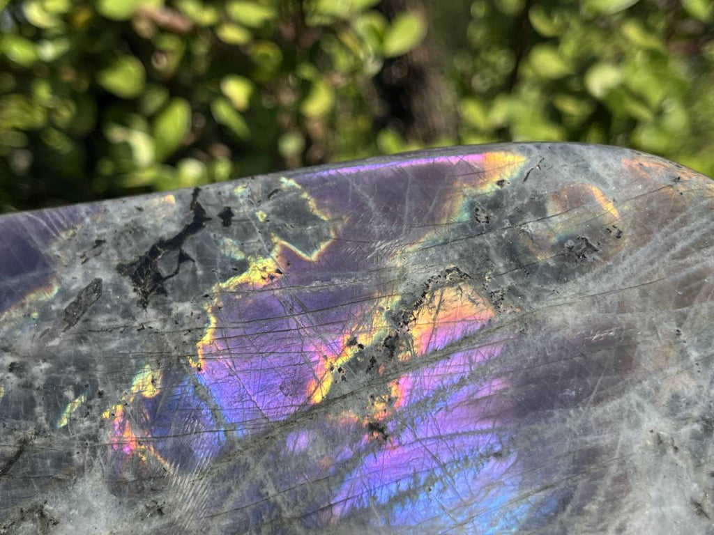 Polished Rare Purple Labradorite Standing Free Form x 1 From Tulear, Madagascar