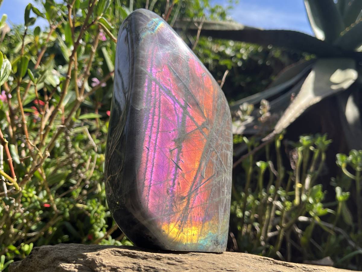 Polished Rare Purple Labradorite Standing Free Form x 1 From Tulear, Madagascar