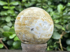 Polished Rare Ocean Jasper Sphere x 1 From Madagascar