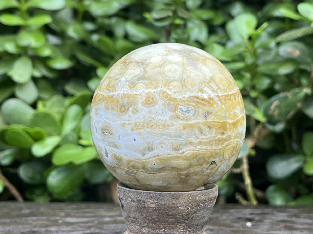 Polished Rare Ocean Jasper Sphere x 1 From Madagascar
