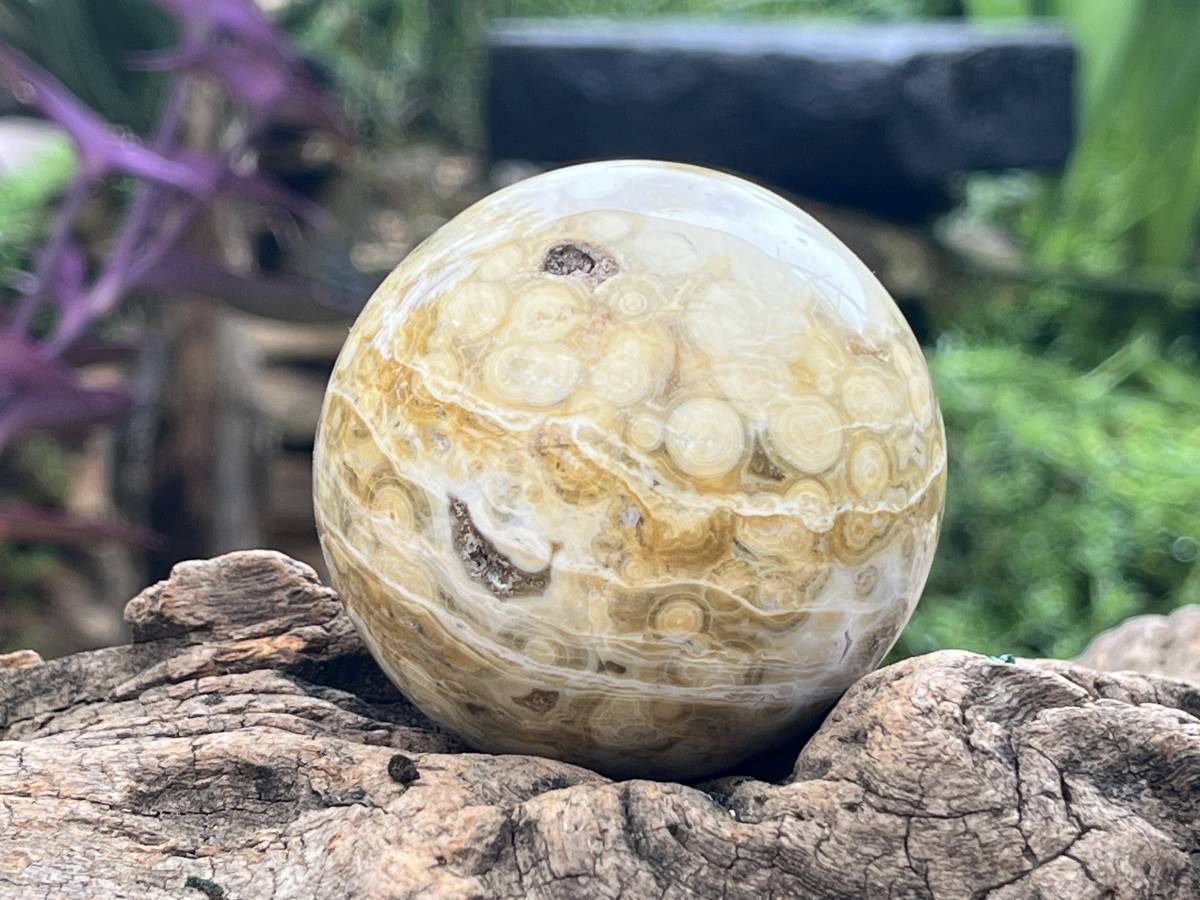 Polished Rare Ocean Jasper Sphere x 1 From Madagascar