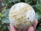 Polished Rare Ocean Jasper Sphere x 1 From Madagascar