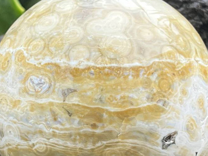 Polished Rare Ocean Jasper Sphere x 1 From Madagascar