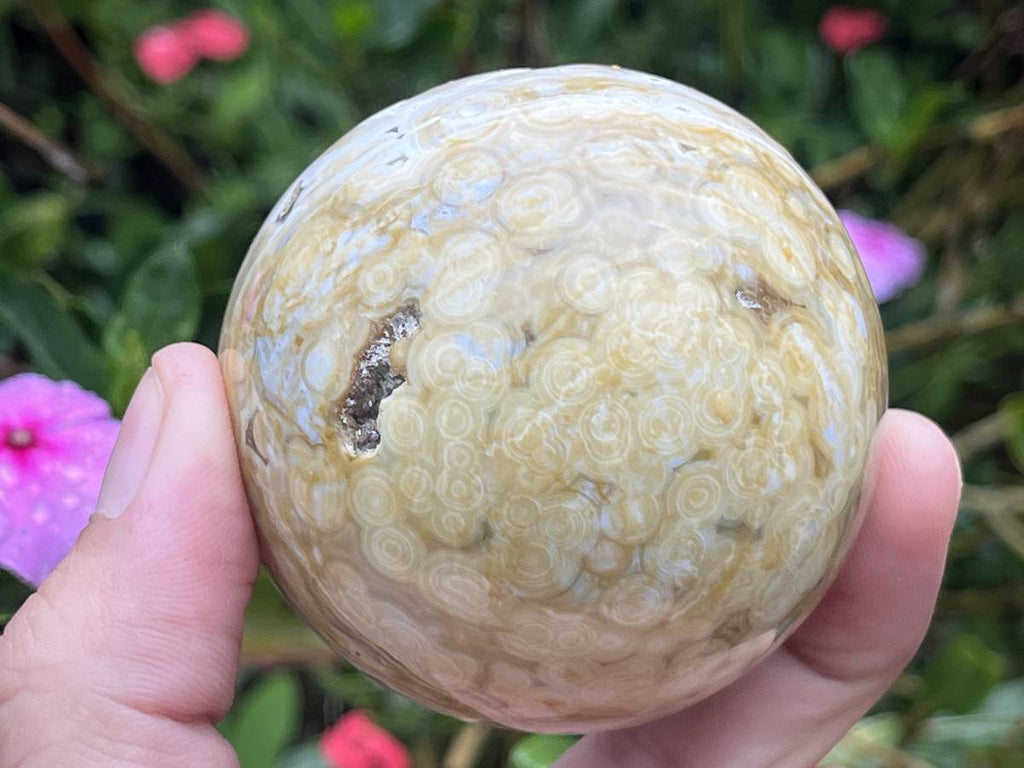 Polished Rare Ocean Jasper Sphere x 1 From Madagascar