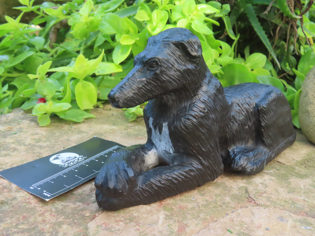 Hand Made Cute Collie Soapstone Carving x 1 From Zimbabwe