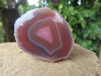 One Side Polished Identical Twin Pair of Red Sashe River Agate Nodules x 1 From Sashe River, Zimbabwe