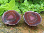 One Side Polished Identical Twin Pair of Red Sashe River Agate Nodules x 1 From Sashe River, Zimbabwe