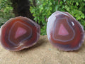 One Side Polished Identical Twin Pair of Red Sashe River Agate Nodules x 1 From Sashe River, Zimbabwe