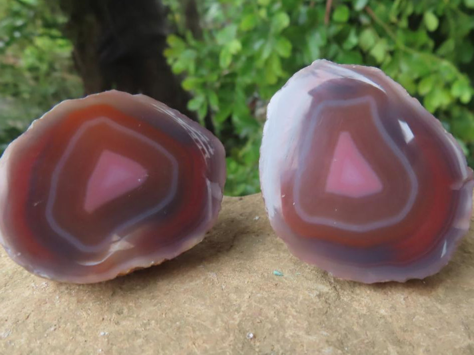 One Side Polished Identical Twin Pair of Red Sashe River Agate Nodules x 1 From Sashe River, Zimbabwe