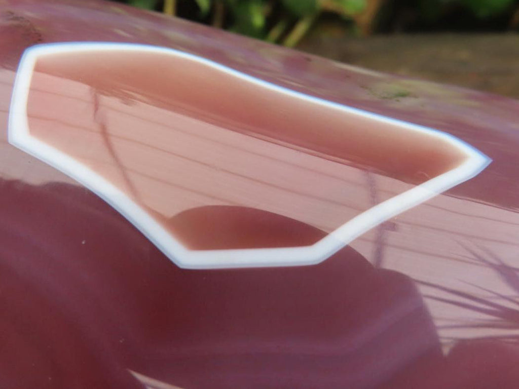 Polished On One Side Large Red Sashe River Agate Nodule x 1 From Shashe River, Zimbabwe