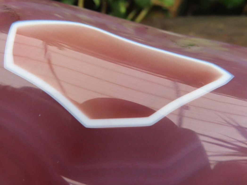 Polished On One Side Large Red Sashe River Agate Nodule x 1 From Shashe River, Zimbabwe