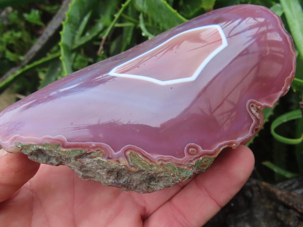 Polished On One Side Large Red Sashe River Agate Nodule x 1 From Shashe River, Zimbabwe