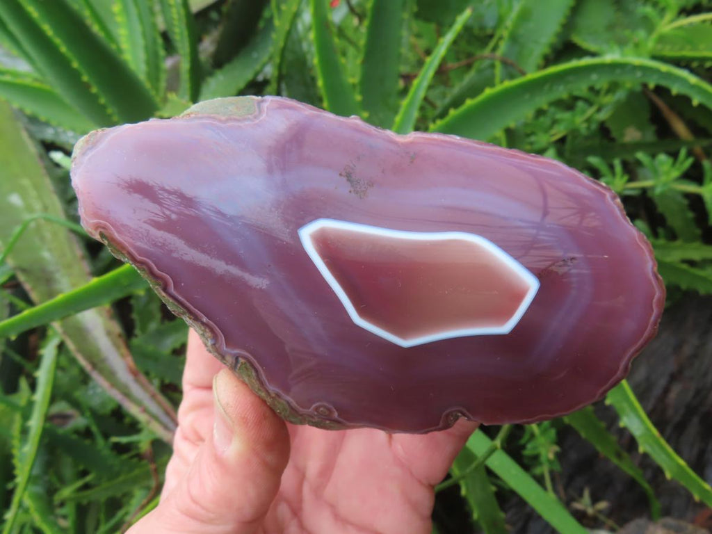 Polished On One Side Large Red Sashe River Agate Nodule x 1 From Shashe River, Zimbabwe
