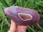 Polished On One Side Large Red Sashe River Agate Nodule x 1 From Shashe River, Zimbabwe