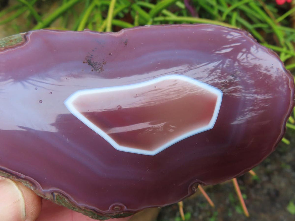 Polished On One Side Large Red Sashe River Agate Nodule x 1 From Shashe River, Zimbabwe