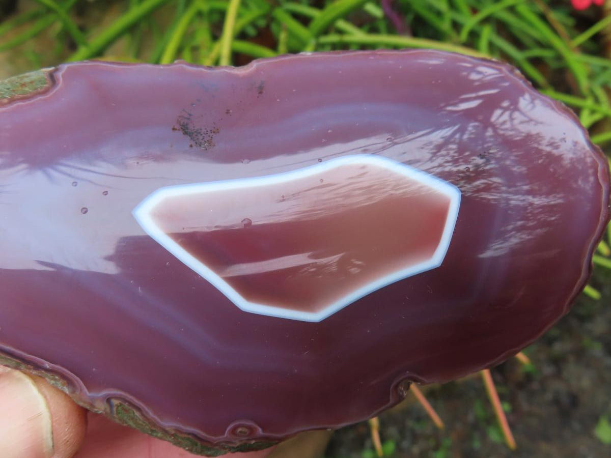 Polished On One Side Large Red Sashe River Agate Nodule x 1 From Shashe River, Zimbabwe