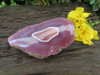 Polished On One Side Large Red Sashe River Agate Nodule x 1 From Shashe River, Zimbabwe