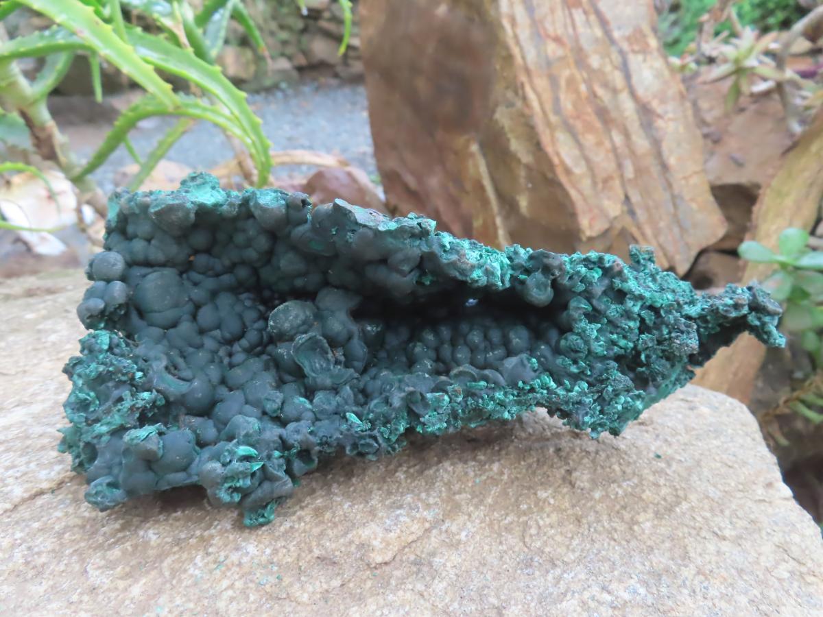 Natural Silky Malachite Specimen with Botryoidal Geode Centre x 1 From Kasompe, Congo