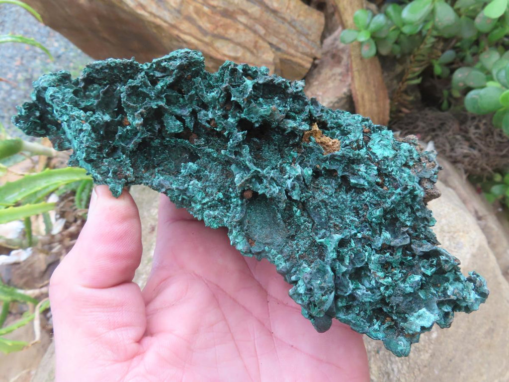 Natural Silky Malachite Specimen with Botryoidal Geode Centre x 1 From Kasompe, Congo