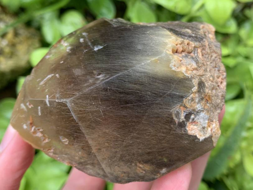 Polished Rutilated Smokey Quartz Crystal x 1 From Erwe, Namibia