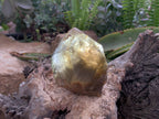 Polished Rutilated Smokey Quartz Crystal x 1 From Erwe, Namibia
