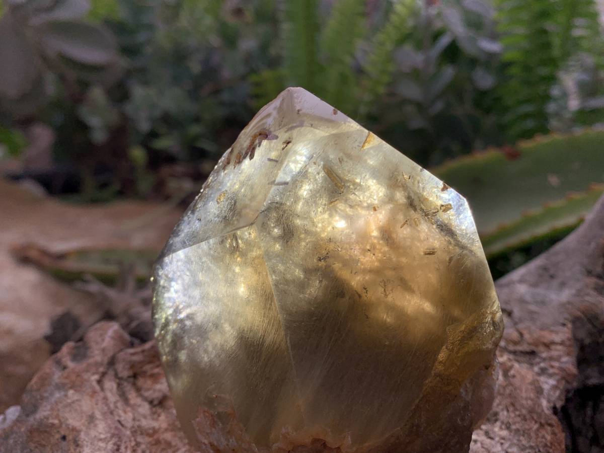 Polished Rutilated Smokey Quartz Crystal x 1 From Erwe, Namibia