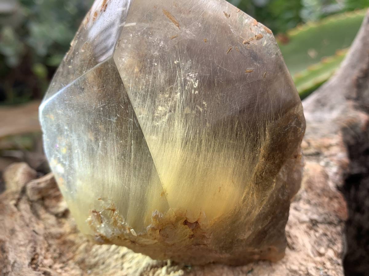 Polished Rutilated Smokey Quartz Crystal x 1 From Erwe, Namibia